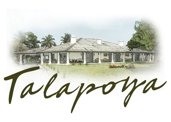 Talapoya accommodation
