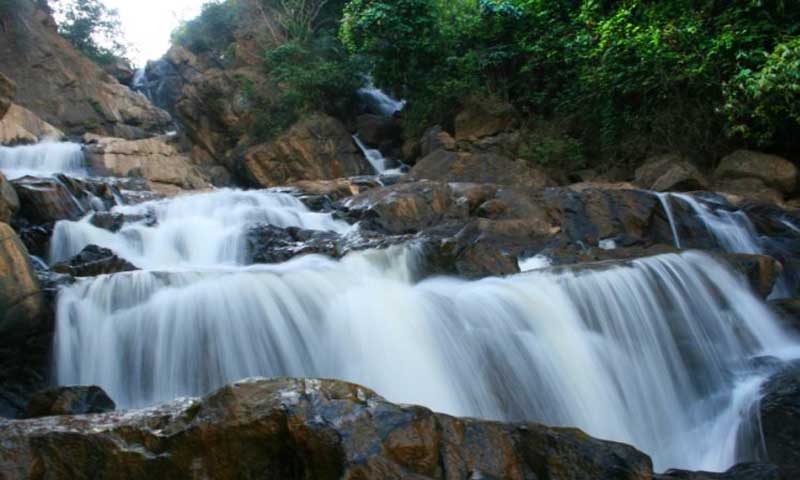 parisons plantation experiences resort meenmutty falls