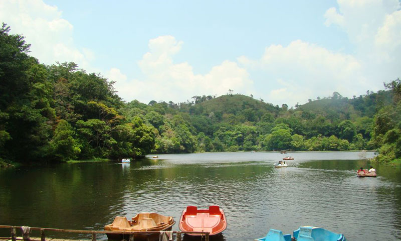 parisons plantation experiences resort pookot lake